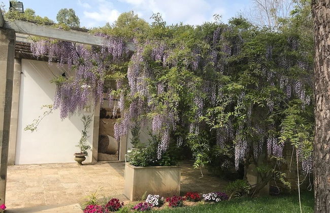 Tenuta Sidore - Photo 48