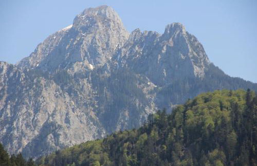 Blockhaus Säuling - Haus Elise Apartments - Foto 10