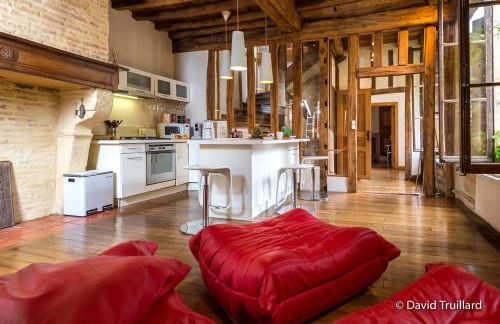 Suite Mana OHANA - Luxe et Authenticité à 2 pas de la Place Ducale avec Parking privé - Foto 7