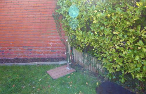 Ostfreesenhuus Vier Pfoten - Foto 31