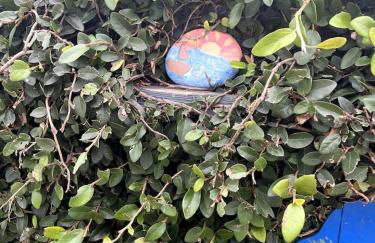 Cozy Villa with Spa, Fireplace, Kitchen, Yard, BBQ - Foto 24