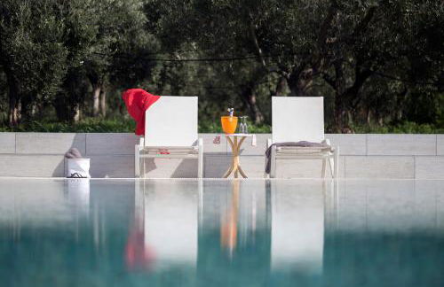 Gallo Fino - Foto 36