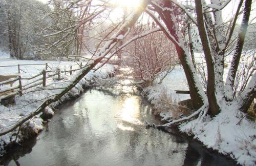 Ferienwohnungen Holder - Photo 15