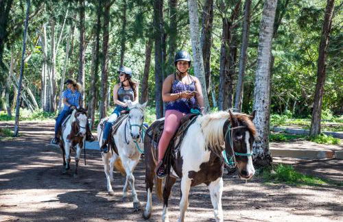 Oceanfront Vacation Villas at Turtle Bay - Foto 56