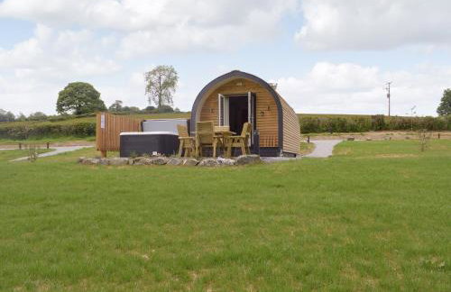 Cain Pod Vip - Foto 10