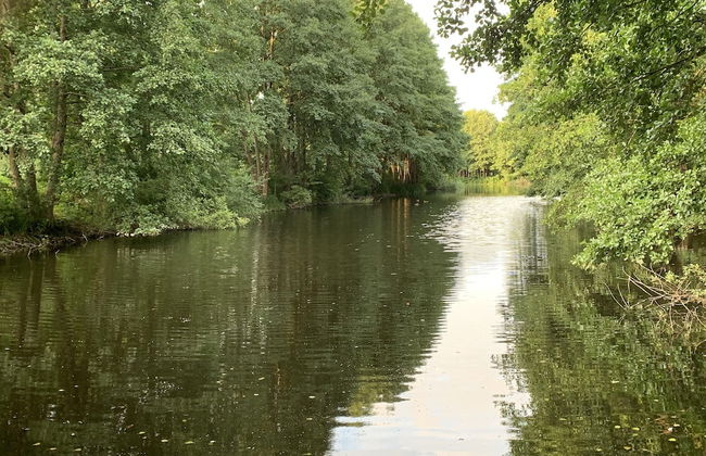 Seaside apartments - Near Palanga Beach - Photo 37