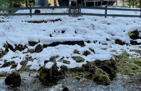 Piwniczna 187 - Vintage House - Foto 64