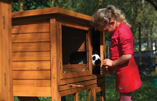 Club Vacances Bleues Domaine de Château Laval - Photo 52