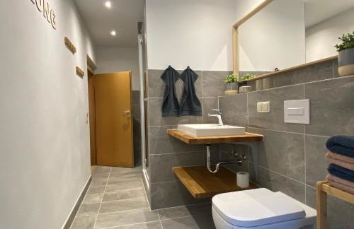 FeWo Ostrau, neues Bad, neue Küche, zentral, Sandstein-Ferien, Terrasse - Foto 4