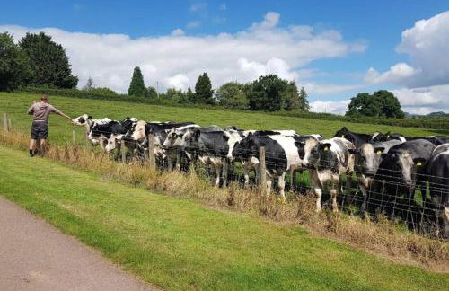 The Little Bothy - Holiday Cottage in the heart of Monmouthshire - Foto 15