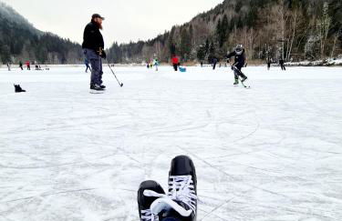 Ferienhaus und Landhaus Berger - Foto 45