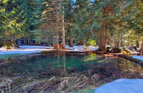 Ahrs Creek Retreat In the Timber - Foto 11