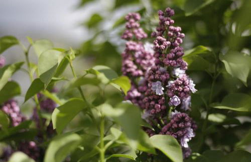 Ferienwohnung Gessert - Foto 18