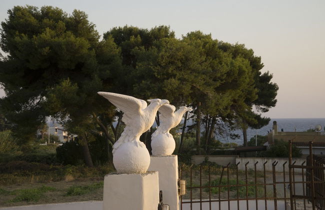 Villa Ada - Photo 24