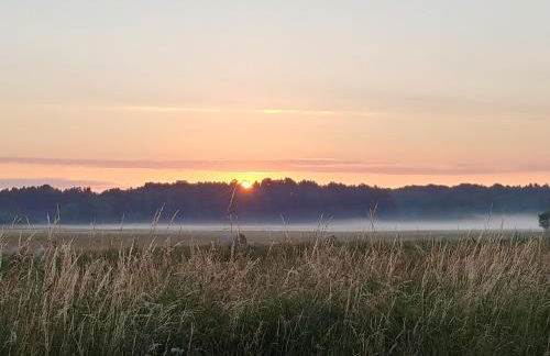 Ferienhaus Naturpur Chorin - Foto 52