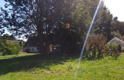 Ferienhäuschen - Foto 34