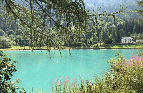 Profumo di Legno a Cielo Alto La Coquille - Foto 37