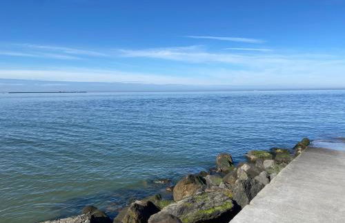 Brise de mer sur la naturelle, Studio à Wimereux , parking - Foto 57