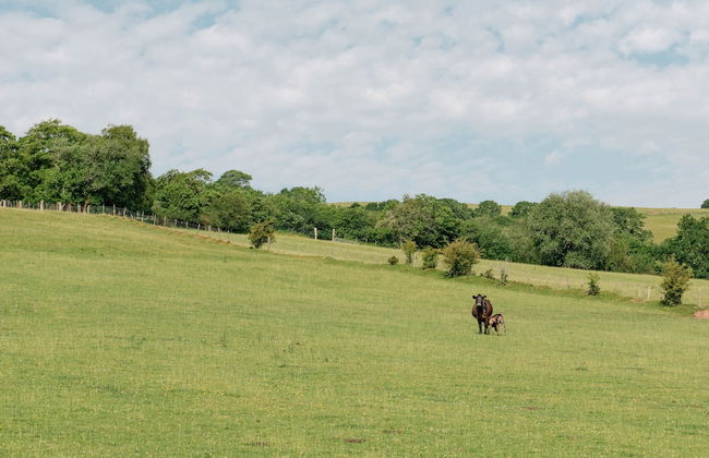 Alltybrain Farm Cottages and B&B - Foto 77