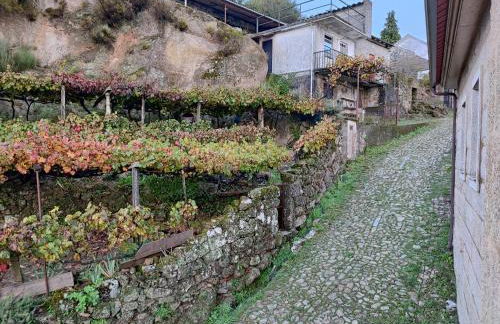 Casa da Avó - Photo 21