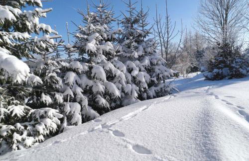 Ferienwohnung Blaumeise - Foto 77