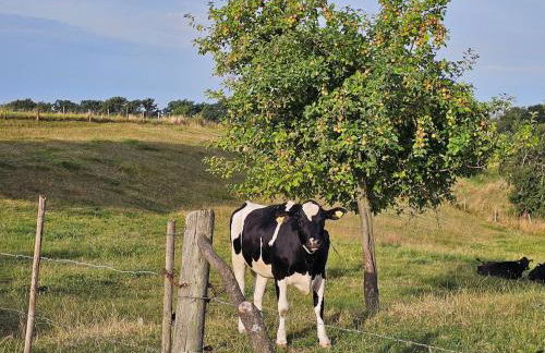 Gartenglück, entspannt wohnen am Obstwanderweg - Foto 31