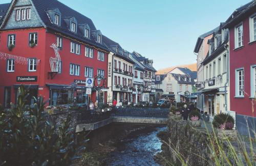 Villa Schonau Apartment 2 in Bad Munstereifel - Foto 60