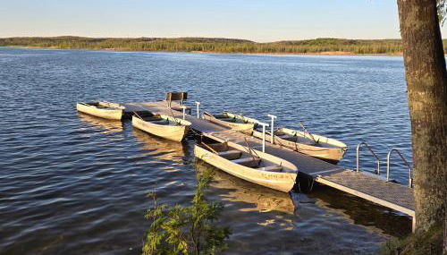 Lake Access! Twin Birch Resort - Kodiak Cabin - Foto 4