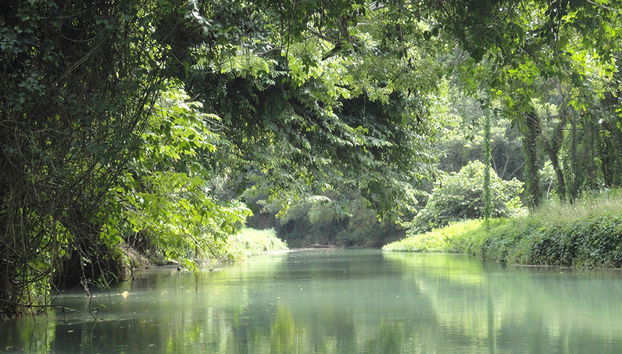 Martha Brae Rafting - Foto 5