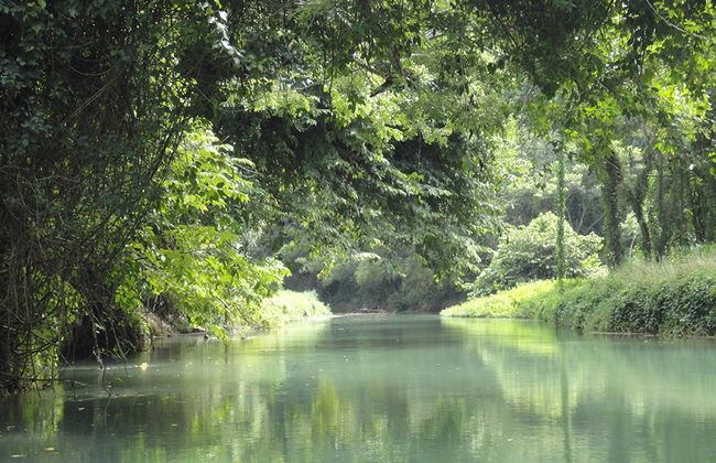 Martha Brae Rafting - Foto 5