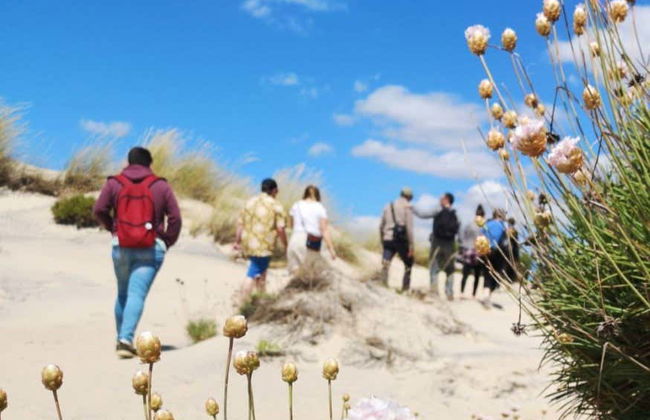 Doñana Day Trip - Foto 9