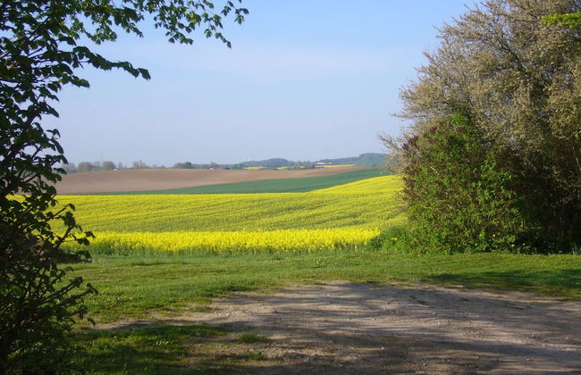 Gemutliche Ferienwohnung in Satow - Foto 37