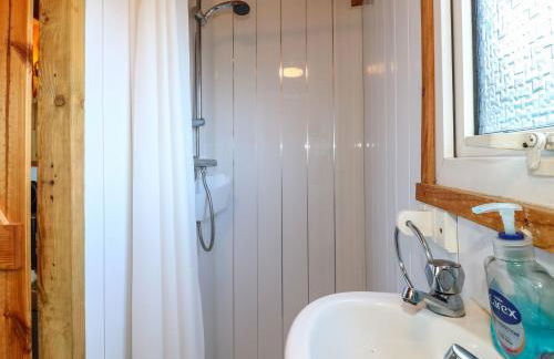 Packhorse Shepherds Hut - Foto 10