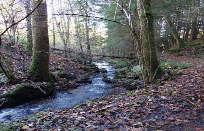 Spacious Apartment near Lake Constance with Covered Balcony - Foto 24