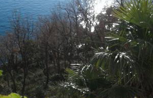 Kvarner Apartments II - Mošćenička Draga - Photo 48