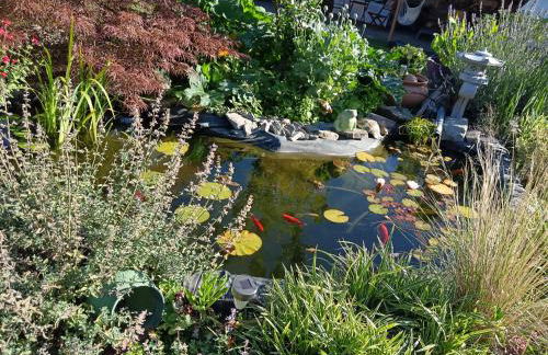 La Petite Ecole de la Baie - Foto 51