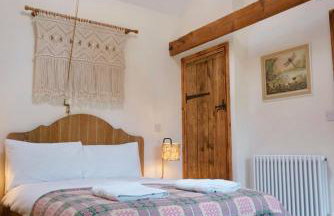 Nest Holiday Hideaway Wren Cottage-Beautiful Location in the Long Mynd Area of Outstanding Natural Beauty- WHIRLPOOL JACUZZI BATH! - Foto 45