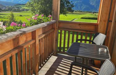 Krebslechnerhof - Foto 75