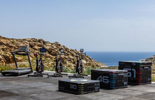 Exclusive Wellness Day Experience in Mykonos - Photo 2