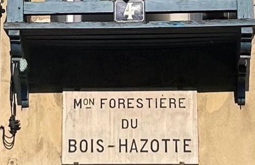 La Maison Forestière - Foto 15