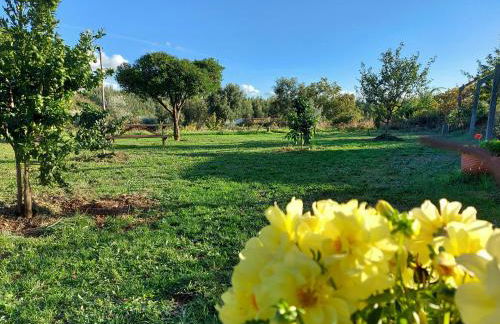 The Cottage near the lake - Foto 20