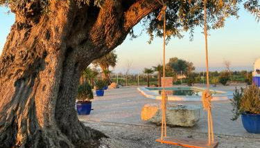 La casa del olivo - Photo 5, Garden