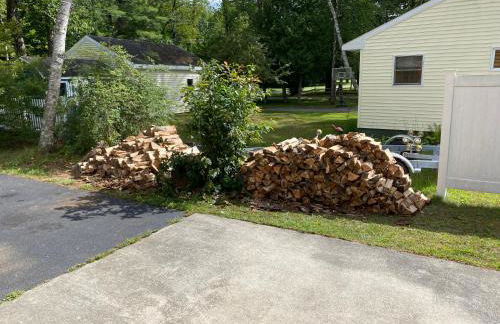 Adirondack Waterfront Cabin Upper Hudson Tributary - Foto 30