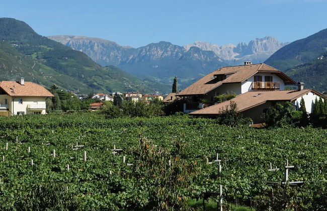 Lagrein in the Prantenbergergut - Foto 11