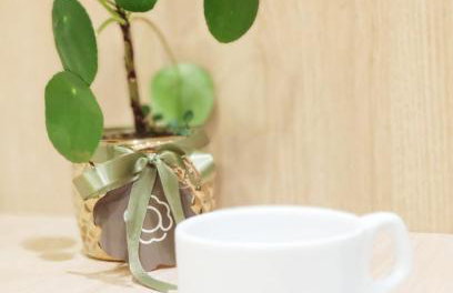 20º Andar Vista Linda Próx a Santa Casa, UFRGS - BnB Serviços Inteligentes Por Fioravante - Foto 11