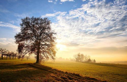 Apartment im Luftkurort Kißlegg, frisch renoviert, Balkon, Boxspringbetten, SmartTV, Playstation, Kaffevollautomat, ruhig, familienfreundlich - Foto 9