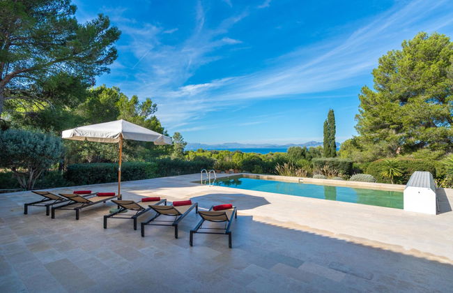 Orquidea 34 - Photo 36