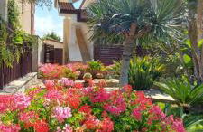 STELLA MARIS D - Foto 1