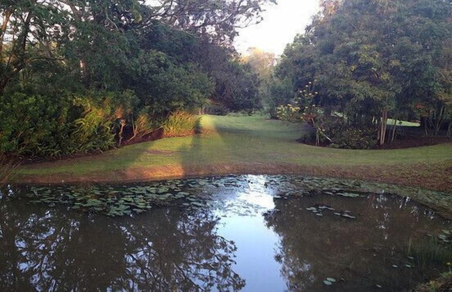 Clairewood - Foto 26