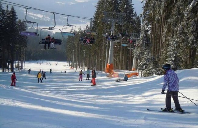 Charming 3-bed Villa in Lipno nad Vltavou - Photo 13